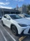 2025 Lexus NX 250 Base