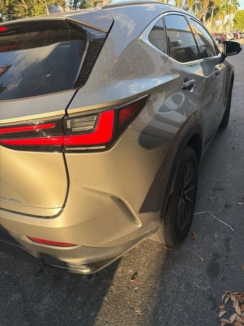 2024 Lexus NX 250 Base