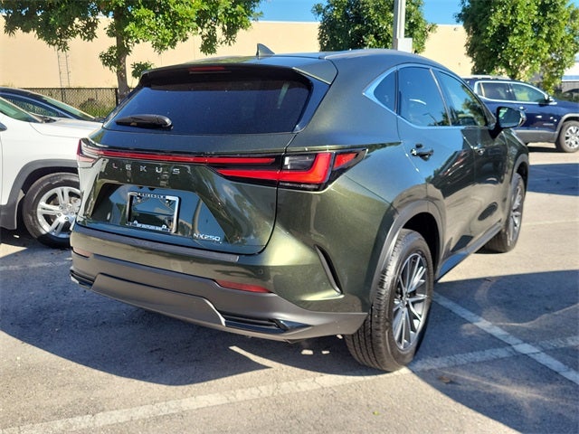 2024 Lexus NX 250 Premium